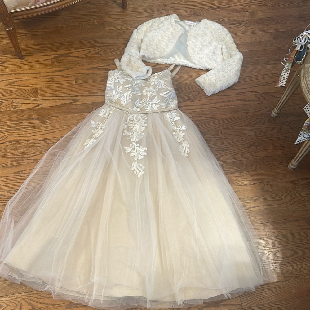 Chantilly Place dress size 16